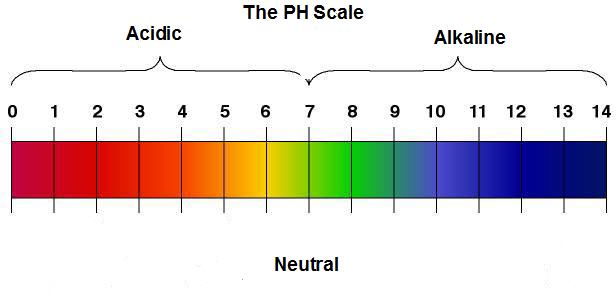 Ph scale « Abundant Health Center  Blog