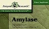 Enzyme Research's Plant Enzyme Fortifiers - Amylase, AntiOxidant Plus, Calcium, Magnesium, Potassium, Digestive, Fiberzyme, Flax Seed Oil, Folic Acid & B12 Plus, Gastro, Lactase, Lipase, Prodophilus FOS, Protease, Vitamin C Plus, Vitazyme, Zinc Plus