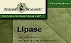 Enzyme Therapy - Lipase