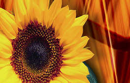 At Abundant Health Center we believe in BALANCE.